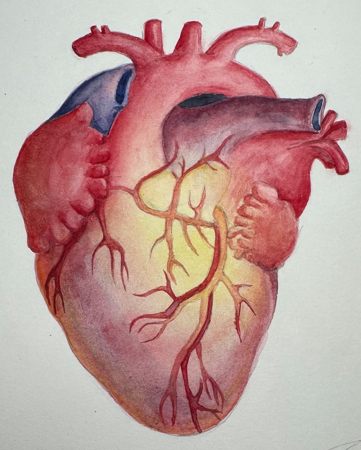 Lessons from Healing: "Who am i?"